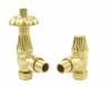 Radiator Valves TRV Westminster | Polished Brass