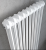 Vintage 2 Column Vertical Radiator