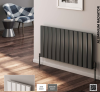 REINA Designe Vicari Horizontal Aluminium Double Radiator