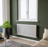 Eucotherm Phoenix 2 Column Horizontal Radiator