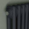 Eucotherm Phoenix 2 Column Horizontal Radiator