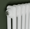 Eucotherm Phoenix 2 Column Horizontal Radiator