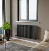 Eucotherm Phoenix 3 Column Horizontal Radiator